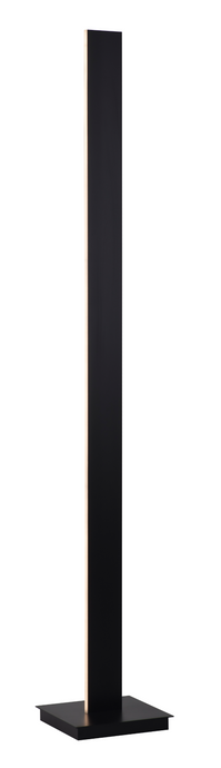 EXCLUSIEVE LED VLOERLAMP 
