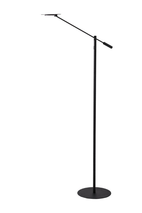 VLOERLAMP DE LUXE LED ''BONIX 