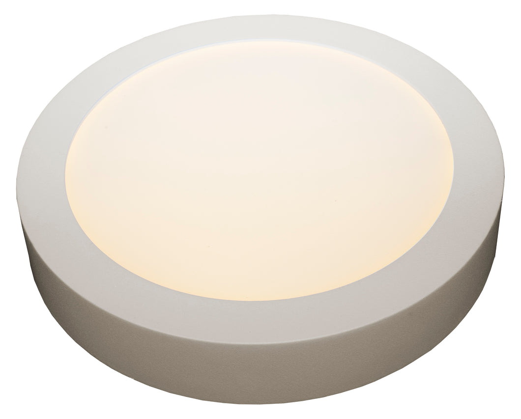 PLAFOND SPOT 