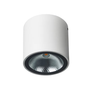 BADKAMER  PLAFOND SPOT ""BAZOU"" 1 LICHTS CYLINDER  WIT  ART NR: 23434071/