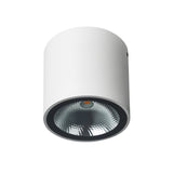 BADKAMER  PLAFOND SPOT ""BAZOU"" 1 LICHTS CYLINDER  WIT  ART NR: 23434071/