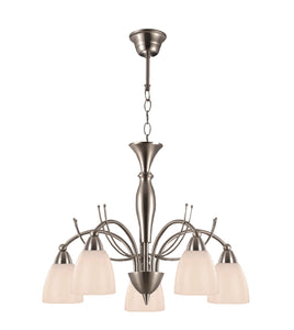 HANGLAMP 5-LICHTS  "'ZOLON'' GESCHUURD STAAL  ART NR: 234233002/